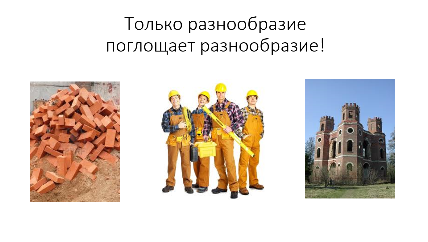 Слайд 08 разнообразие