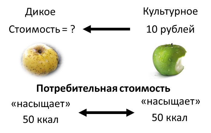 Товар и его двойственная природа, image #7