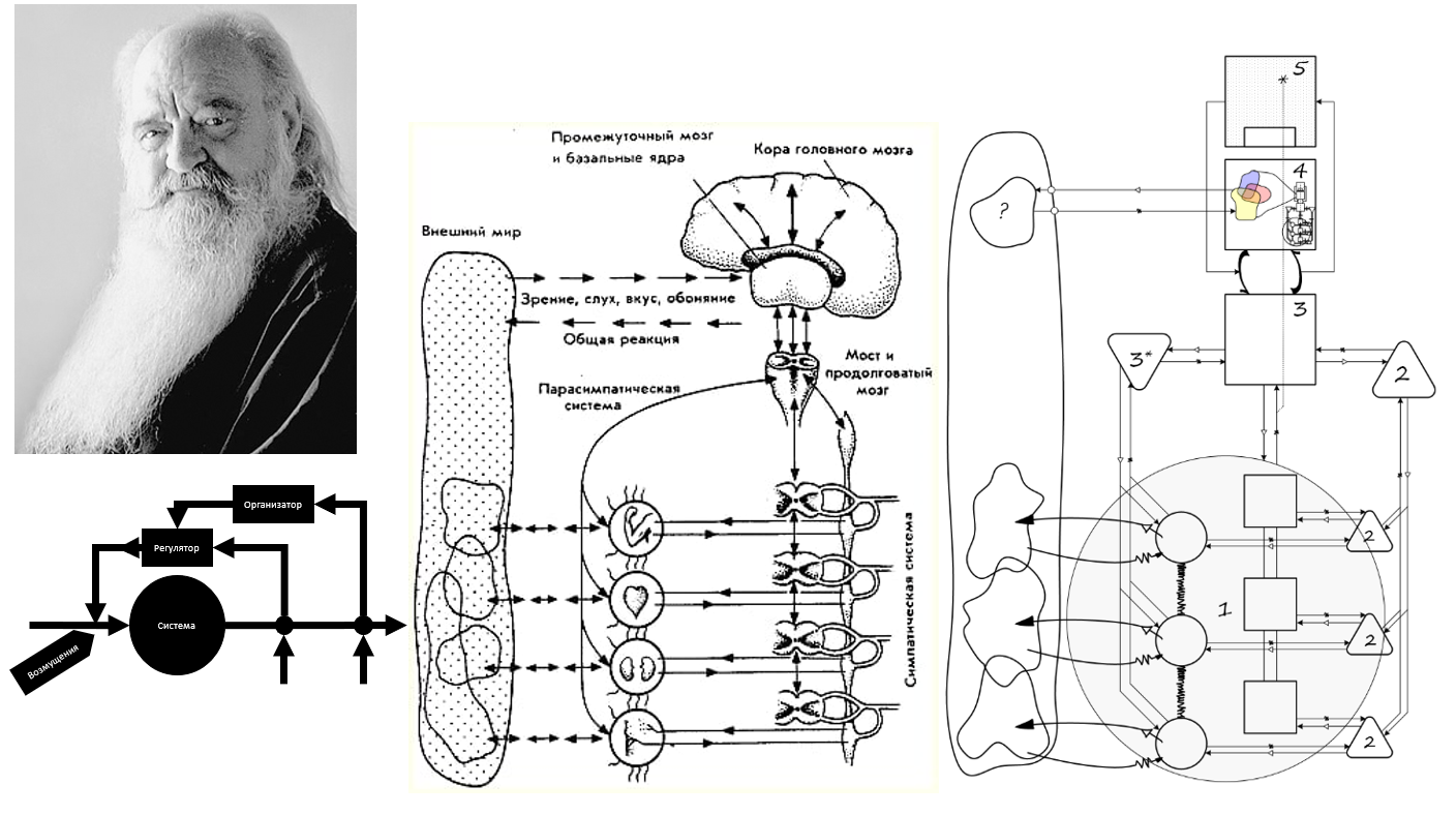 Слайд 05 Бир