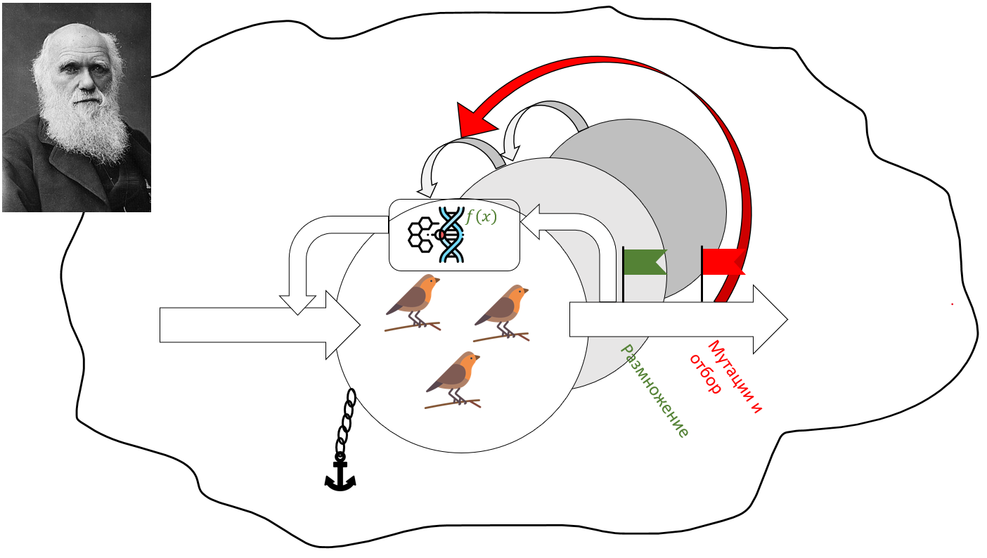 Слайд 02 Дарвин